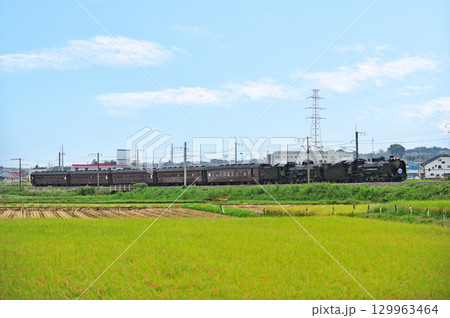 上越線　八木原－渋川　JR東日本　D51-498＋C61-20＋旧客　SLググっとぐんまみなかみ 129963464