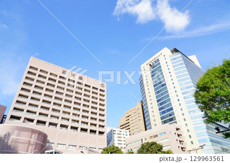 順天堂大学と東京科学大学(東京医科歯科大学)の建物 順天堂大学と東京科学大学(東京医科歯科大学)の建物 129963561