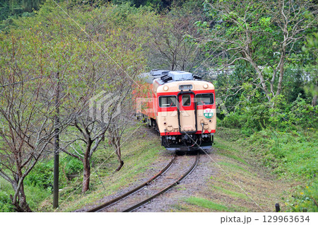 いすみ鉄道　西畑－総元　いすみ鉄道　キハ28-2346＋キハ52-125 129963634