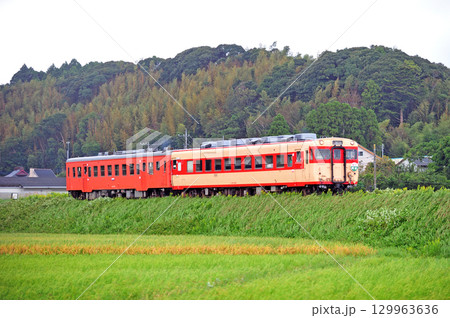 いすみ鉄道 上総中川-国吉 いすみ鉄道 キハ28-2346+キハ52-125 いすみ鉄道 上総中川-国吉 いすみ鉄道 キハ28-2346+キハ52-125 129963636