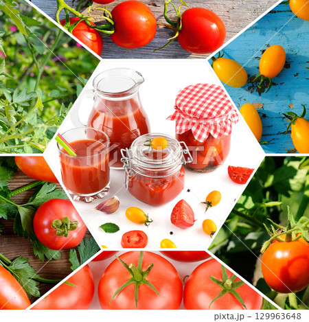 Tomato Harvest and Food Collage. Tomato Harvest and Food Collage. 129963648