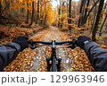 Cyclist's point of view riding through an autumn forest trail covered with fallen leaves and surrounded by golden trees 129963946