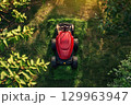 Red ride-on lawn mower cutting grass in a sunny garden, viewed from above through green tree branches. 129963947