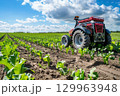 Modern red tractor working on green field with young plants under blue sky and clouds, concept of agriculture  129963948