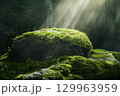 Sunlight shines through forest canopy onto moss-covered rock, creating a magical woodland scene. 129963959