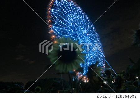 大観覧車のある夜景とひまわり 129964088