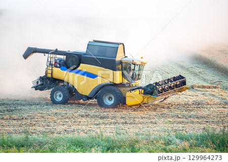 Harvesting wheat with modern machinery on a sunny day in a rural landscape 129964273