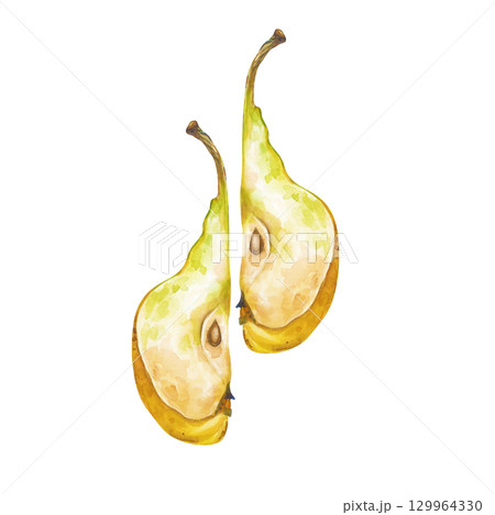 Two pieces of a ripe yellow pear are hand-drawn. Watercolor illustration isolated on a white background. Sliced juicy fruit. Gardening. Cooking. Clipart. 129964330