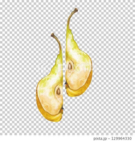 Two pieces of a ripe yellow pear are hand-drawn. Watercolor illustration isolated on a white background. Sliced juicy fruit. Gardening. Cooking. Clipart. 129964330