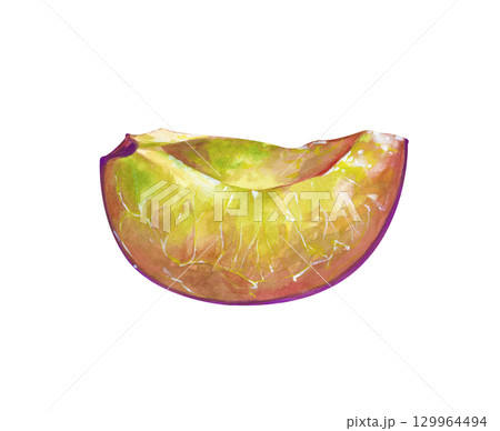 Watercolor juicy plum slice is hand-drawn. The botanical illustration is isolated on a white background. A ripe fruit slice template for a culinary blog, menu, or scrapbooking. Watercolor juicy plum slice is hand-drawn. The botanical illustration is isolated on a white background. A ripe fruit slice template for a culinary blog, menu, or scrapbooking. 129964494