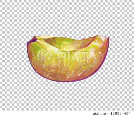 Watercolor juicy plum slice is hand-drawn. The botanical illustration is isolated on a white background. A ripe fruit slice template for a culinary blog, menu, or scrapbooking. Watercolor juicy plum slice is hand-drawn. The botanical illustration is isolated on a white background. A ripe fruit slice template for a culinary blog, menu, or scrapbooking. 129964494