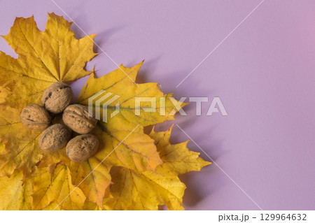 Yellow autumn leaves with nuts on the pastel lilac background. Copy space. Flat lay. Top view. Space for text. Greetings composition. Yellow autumn leaves with nuts on the pastel lilac background. Copy space. Flat lay. Top view. Space for text. Greetings composition. 129964632
