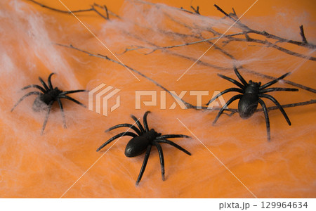 Halloween decorations, pumpkins, web, spines on orange background. Halloween party greeting card.  129964634