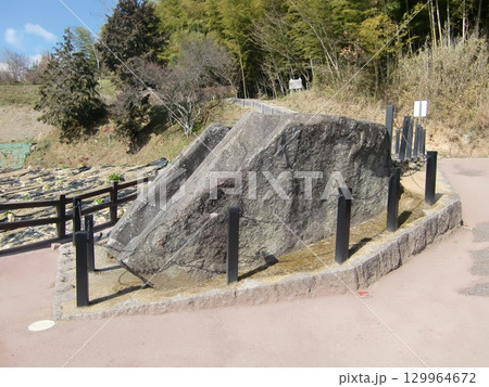 奈良さん歩 129964672