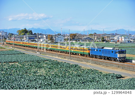 高崎線　岡部－深谷　JR東日本　EF64-1031（長岡）+115系　T1133+T1142編成 129964848