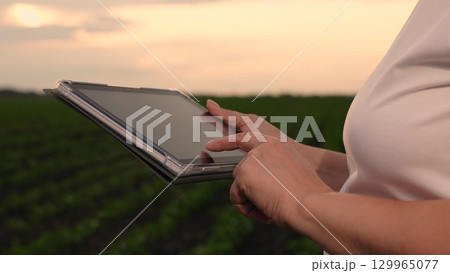 Agriculture, Female agronomist using tablet, Farm digitalization, Integrated technology on farms, Advanced farming techniques, Evening light for fieldwork, Digital monitoring of crops, Online farm Agriculture, Female agronomist using tablet, Farm digitalization, Integrated technology on farms, Advanced farming techniques, Evening light for fieldwork, Digital monitoring of crops, Online farm 129965077