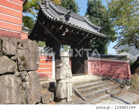 奈良さん歩 129965194