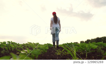 Agriculture, Female farmer checking crops, Digital analysis of plants, Rural technology advancements, Agriculture in the 21st century, Fieldwork and technology integration, Hands-on crop monitoring 129965269