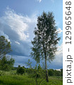 A Serene and Peaceful Landscape Featuring Beautiful Trees Set Against a Bright Blue Sky 129965648