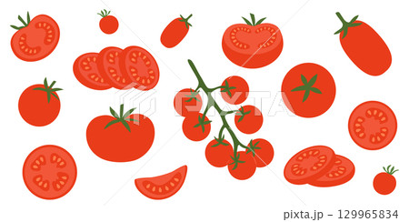Fresh red tomatoes in flat style vector illustration. Whole, Half, Quarter, Slice, Angled, Hand Drawn Set Isolated. Fresh organic vegetables for cooking, salad, healthy eating 129965834