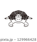 カメのデザインイラスト 129966428