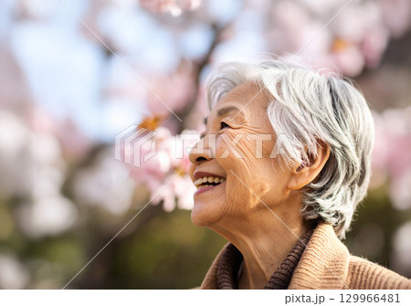 桜を見つめるシニア女性 129966481