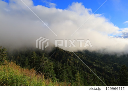 霧に包まれる山の稜線 129966515