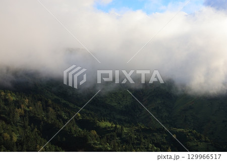 霧に包まれる山の稜線 霧に包まれる山の稜線 129966517