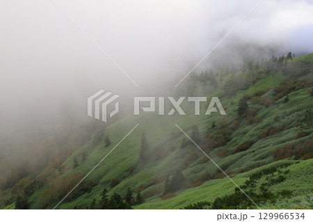 霧に包まれる山の稜線 129966534