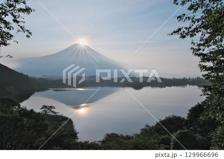 田貫湖たぬき展望台から夏のダブルダイヤモンド富士 田貫湖たぬき展望台から夏のダブルダイヤモンド富士 129966696