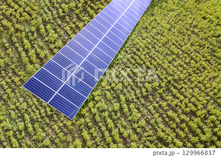 Blue solar panels for clean energy on green grass. 129966837
