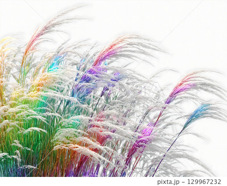 風になびくカラフルなススキ 129967232