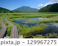 夏の尾瀬ヶ原 129967275