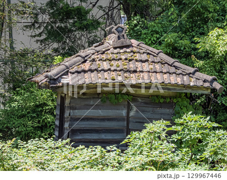 赤坂お茶屋屋敷園内の景色 129967446