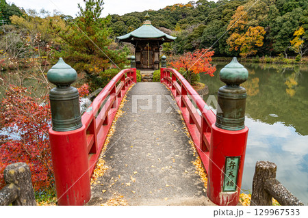 紅葉に包まれる定光寺公園 129967533