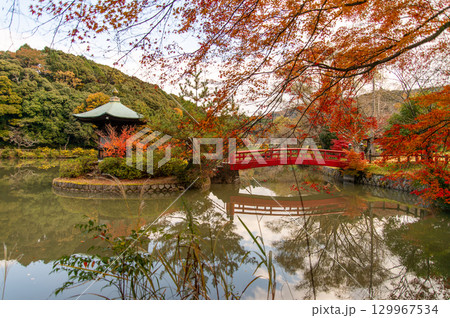 紅葉に包まれる定光寺公園 紅葉に包まれる定光寺公園 129967534