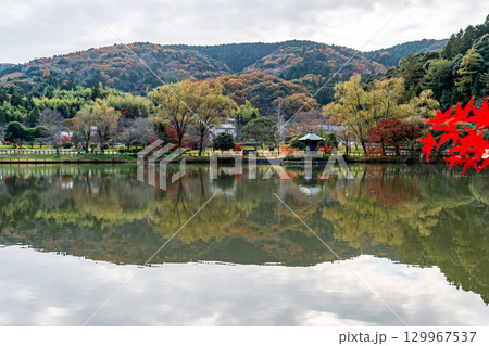 紅葉に包まれる定光寺公園 紅葉に包まれる定光寺公園 129967537