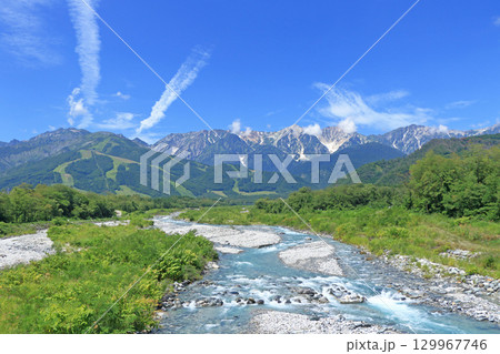 白馬山麓から望む夏の北アルプス 129967746