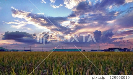 夏雲列車2 129968019