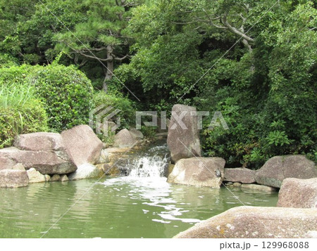 浜ノ池瀧脇の大岩に亀 129968088