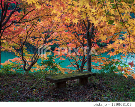三重県大台町の紅葉のある風景 129968105