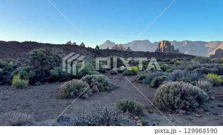 A Stunning and Breathtaking Natural Landscape Rich with Unique Flora and Rocky Terrain 129968590