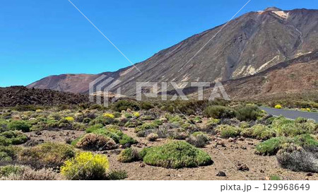 The Vibrant and Stunning Landscape of Teide National Park, located in Tenerife, Spain 129968649