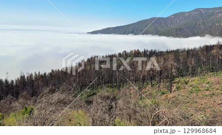 Breathtaking and Stunning View of the CloudCovered Mountains After a Devastating Wildfire Breathtaking and Stunning View of the CloudCovered Mountains After a Devastating Wildfire 129968684