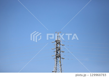 鉄塔に営巣中のカラス 鉄塔に営巣中のカラス 129968783