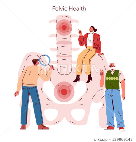Vector illustration featuring three people discussing pelvic health. One person examines a diagram with a magnifying glass, depicting interest and focus on anatomy. Vector illustration featuring three people discussing pelvic health. One person examines a diagram with a magnifying glass, depicting interest and focus on anatomy. 129969145
