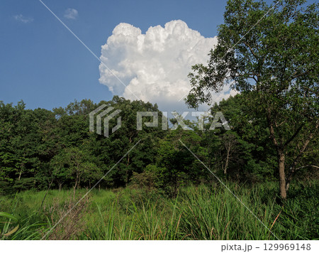 夏雲湧く風景 129969148