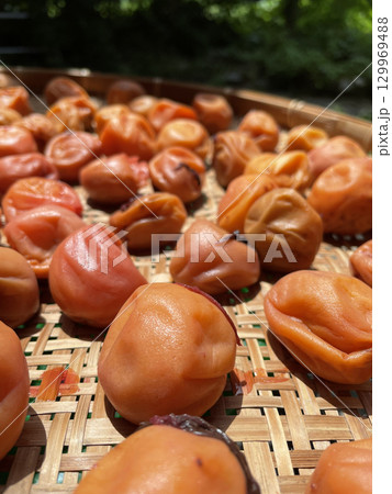 梅干しを天日干し 129969488