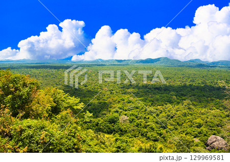 シギーリヤロックを囲む森林風景 129969581