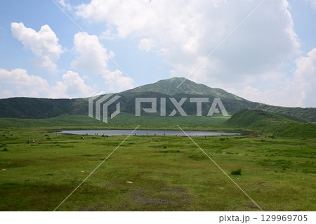 晩夏の草千里ケ浜 晩夏の草千里ケ浜 129969705